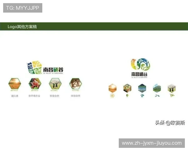 法甲球队2024年品牌发展战略及市场定位分析