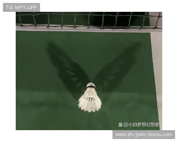 羽毛球技巧与创意玩法探索带你领略竞技与娱乐的双重魅力 羽毛球技巧与创意玩法探索带你领略竞技与娱乐的双重魅力