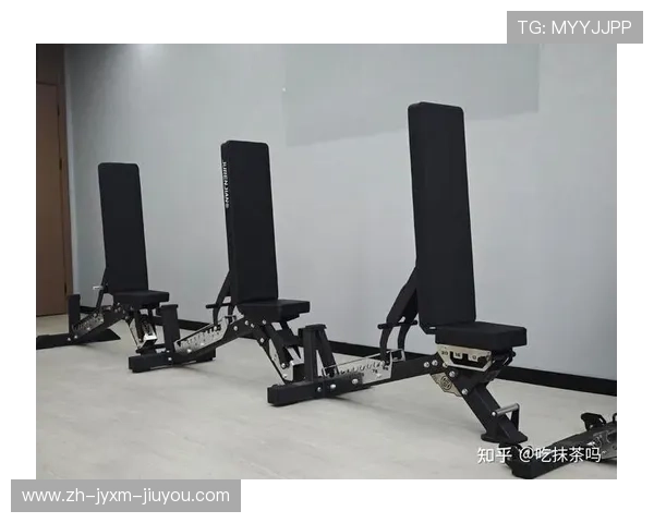 预算有限如何选健身器材口碑与性能兼备的品牌盘点