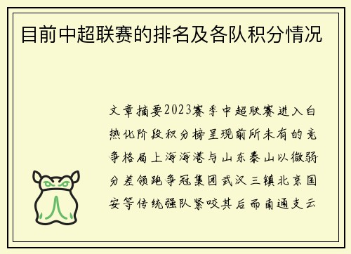 目前中超联赛的排名及各队积分情况