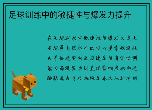 足球训练中的敏捷性与爆发力提升